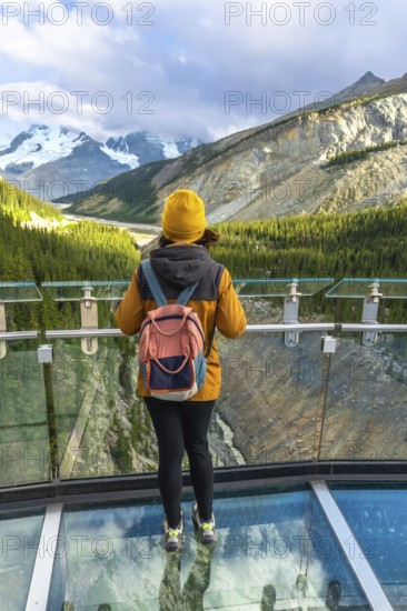 Female hiker standing on the glass platform of the glacier skywalk, contemplating the stunning panorama of the sunwapta valley and the canadian rockies in jasper national park, alberta, canada