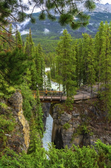 Tourists are enjoying the scenic view from a bridge overlooking the cascading waters of sunwapta falls in the heart of jasper national park, surrounded by lush green forest and mountain peaks