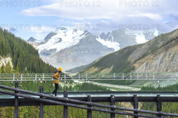 Tourist enjoying the breathtaking view from the glass skywalk over the sunwapta valley with the athabasca glacier and the canadian rockies in the background. In jasper national park. Alberta. Canada