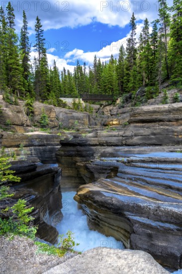 Water flowing powerfully through mistaya canyon carves layered rock formations, surrounded by lush pine trees beneath a vibrant blue sky and fluffy white clouds in banff national park, alberta