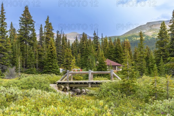 Scenic wooden bridge crossing a small stream in banff national park, surrounded by lush vegetation and pine trees with the canadian rockies near bow lake