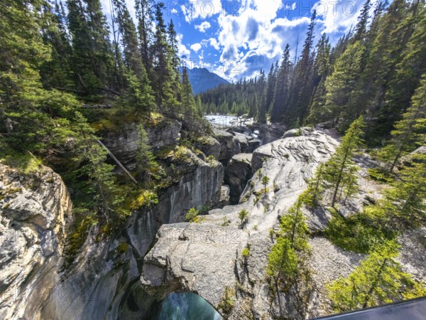 Flowing turquoise waters of mistaya canyon carve through a narrow gorge, surrounded by lush evergreens and the majestic canadian rockies in banff national park, alberta