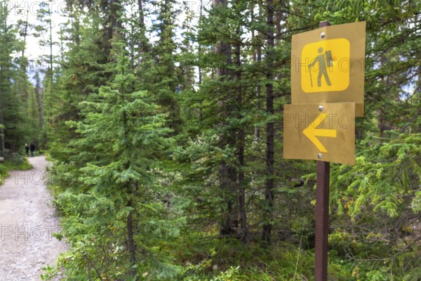 Yellow hiking trail sign directing to mistaya canyon in banff national park, alberta, featuring a hiker icon and arrow along a gravel path in lush green forest