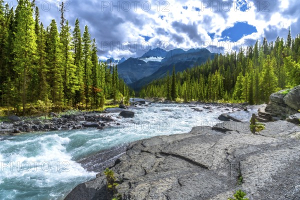 Turquoise water flows rapidly through mistaya canyon in banff national park, surrounded by lush evergreen forests and the majestic canadian rockies under a cloudy sky