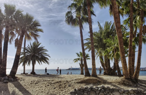 Scenic tropical beach landscape with palm trees, people and a calm sea under clear skies, Los Cristianos, Tenerife