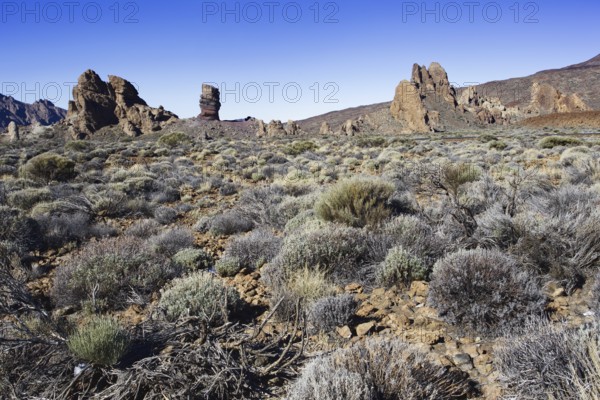 Wide dry landscape with rocky formations, Pico del Teide National Park, La Orotava Tenerife
