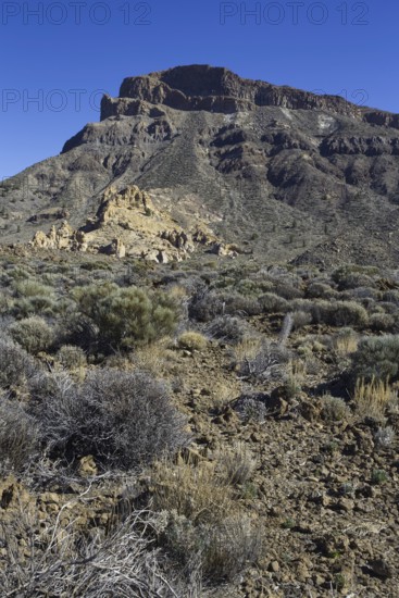 Mountain scenery in a rocky desert landscape under clear sky, Pico del Teide National Park, La Orotava Tenerife