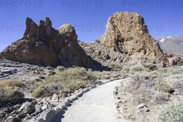Hiking trail leads through impressive rocky landscape, Pico del Teide National Park, La Orotava Tenerife