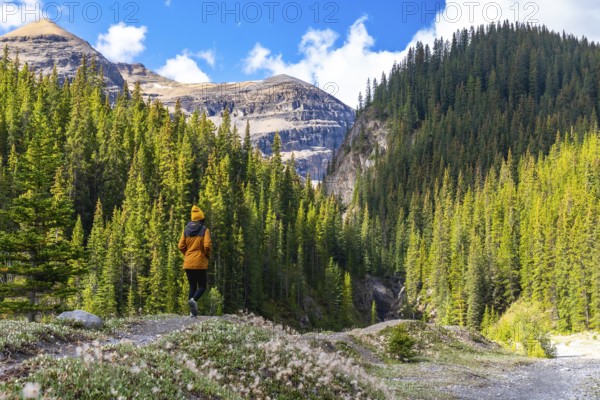 Hiker enjoying breathtaking view of mountains and pine forest while walking along ci fuentes path waterfall trail on icefields parkway in canadian rockies, alberta, canada