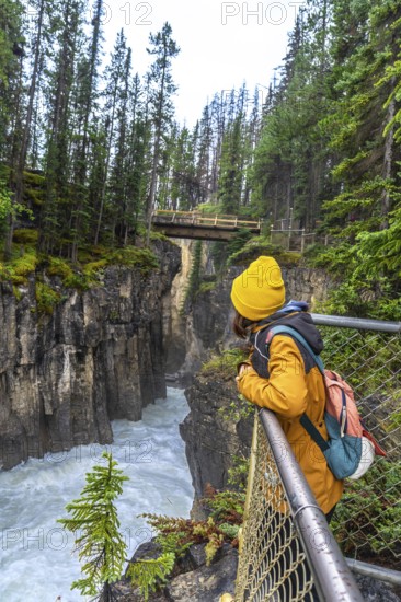 Hiker observing the impressive sunwapta falls from a viewpoint in jasper national park, surrounded by lush pine forest and a wooden bridge in the background