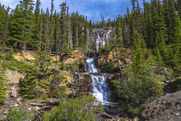 Water cascading over tangle creek falls, framed by lush pine forests and rocky cliffs in jasper national park, highlights the pristine wilderness of albertas canadian rockies