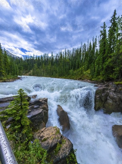 Sunwapta falls cascading over rocks in jasper national park, surrounded by lush evergreen forest under a cloudy sky, creating a dramatic and scenic landscape in the canadian rockies