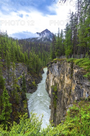 Sunwapta falls rushes through a narrow canyon surrounded by lush pine forest and a mountain peak shrouded in clouds in jasper national park, alberta, canada