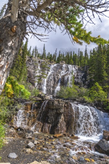 Water flows over the rocky cliffs of tangle creek falls, framed by lush green trees and a cloudy sky in jasper national park, a breathtaking natural wonder in the canadian rockies of alberta
