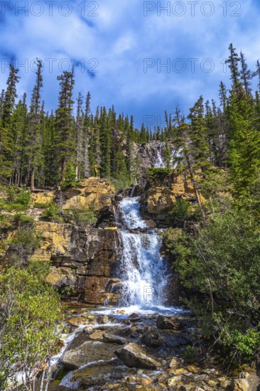 Cascading white water flows over rocks and cliffs at tangle creek falls, surrounded by lush evergreen forest beneath a blue sky with white clouds in jasper national park