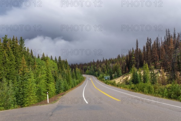 Icefields parkway winding through a coniferous forest under a cloudy sky, showcasing the natural beauty of banff national park in the canadian rockies