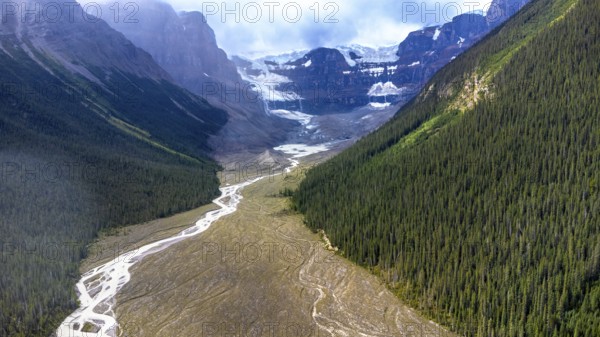Sunlit evergreen forest blankets the slopes of the canadian rockies, with the athabasca glacier melting into the river below, highlighting climate change's impact on the landscape