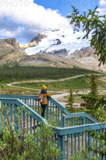 Tourist standing on a wooden stairway, admiring the stunning view of athabasca glacier in jasper national park, alberta, a favorite spot for nature lovers and adventurers