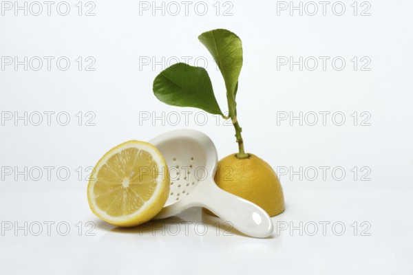 Lemon with leaf, cut in half, Citrus x limon, porcelain strainer