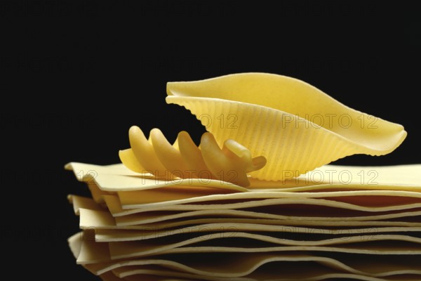 Uncooked lasagna leaves, mussel noodles, and fusilli noodle