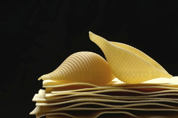 Uncooked lasagna leaves and mussel noodles, conchiglione
