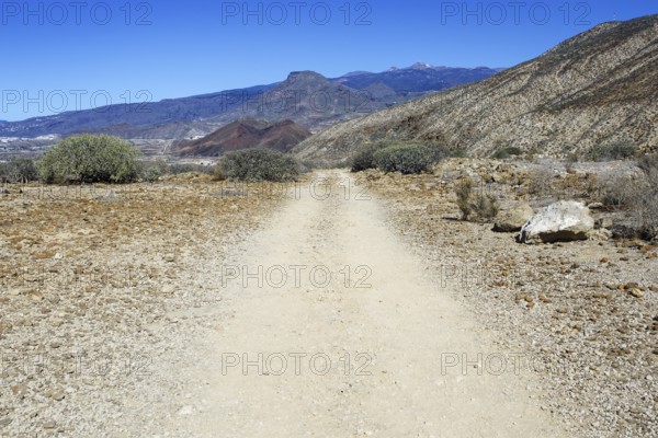 A dry, rocky path stretches through a barren, mountainous volcanic landscape, Los Cristianos Tenerife