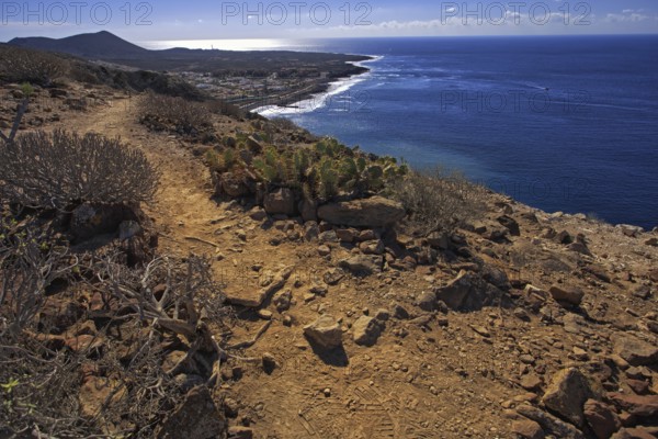 A rocky path leads along the coast, the sea shines in the distance under a clear sky, Los Cristianos Tenerife