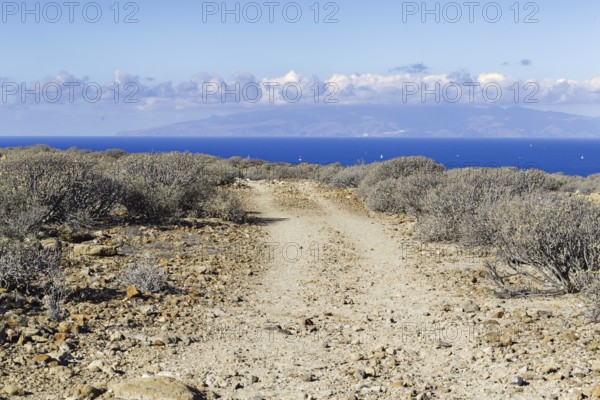 A hiking trail leads through the barren landscape with views of the distant sea, Los Cristianos Tenerife