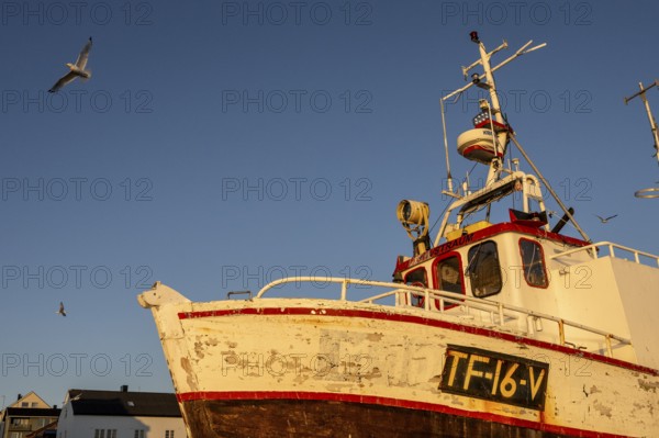 An old fishing boat boat in the warm sunset light with flying seagulls in the sky, Vardø, Finnmark, Norway