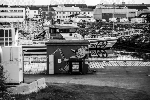 A quiet harbour with boats and graffiti on a building in black and white. Industrial atmosphere, daisies (Leucanthemum)