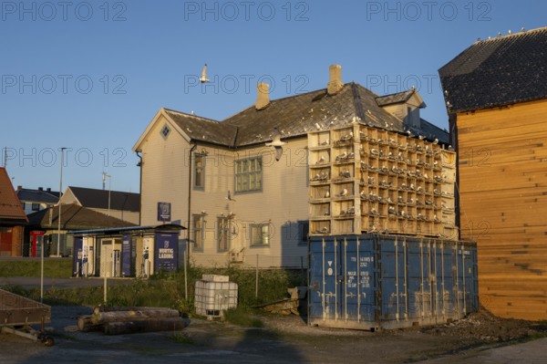 Building with nesting boxes for kittiwakes (Rissa tridactyla) made of old fishing boxes and flying gull in the evening light, surrounded by containers and other houses, Vardø, Finnmark, Norway