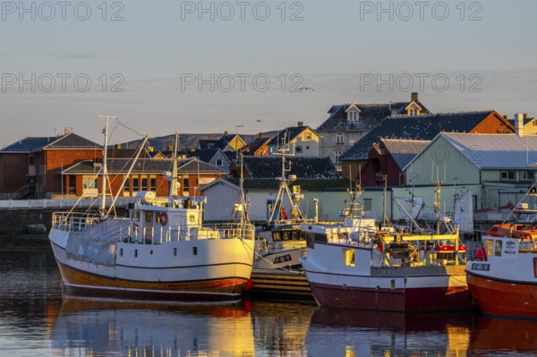 A quiet harbor in the evening light with adjacent boats and houses in warm colors behind them, Vardø, Finnmark, Norway