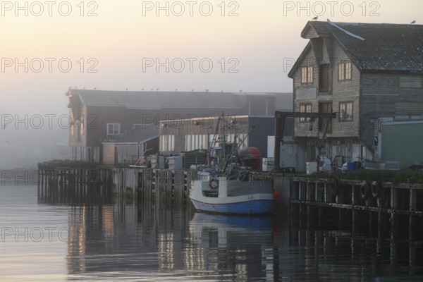 A quiet harbor in morning fog with boats and wooden houses reflecting in the water, Vardø, Finnmark, Norway