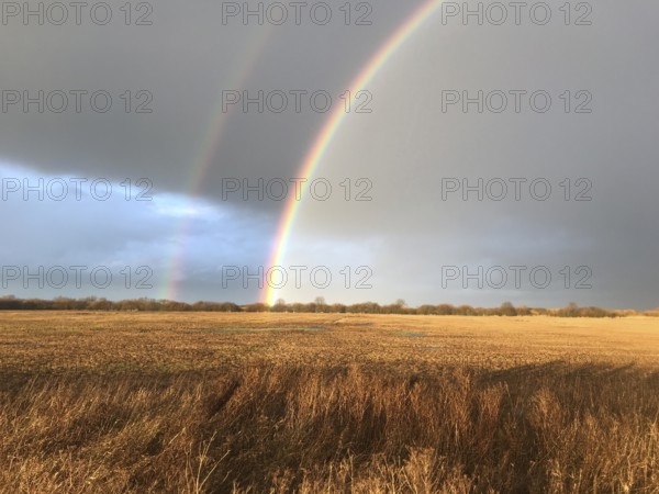 A double rainbow over a brown wet meadow wet grassland under a cloudy sky in warm light, Dümmer nature park Park, Lower Saxony, Germany