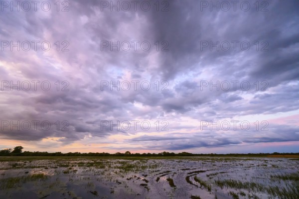 Dramatic cloud atmosphere over flooded wetlands with wind turbines in the background and bright shades of orange and blue in the sky, Dümmer nature park Park, Lower Saxony, Germany