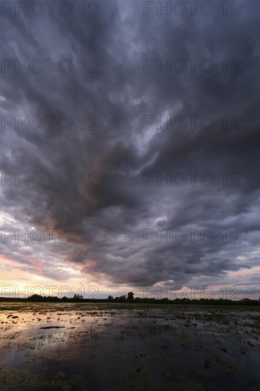 Dramatic cloud atmosphere over flooded wetlands with wind turbines in the background and bright shades of orange and blue in the sky, Dümmer nature park Park, Lower Saxony, Germany