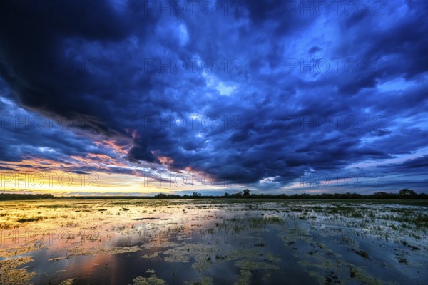 Dramatic sunset over flooded wetlands with wind turbines in the background and bright shades of orange in the sky, Dümmer nature park Park, Lower Saxony, Germany