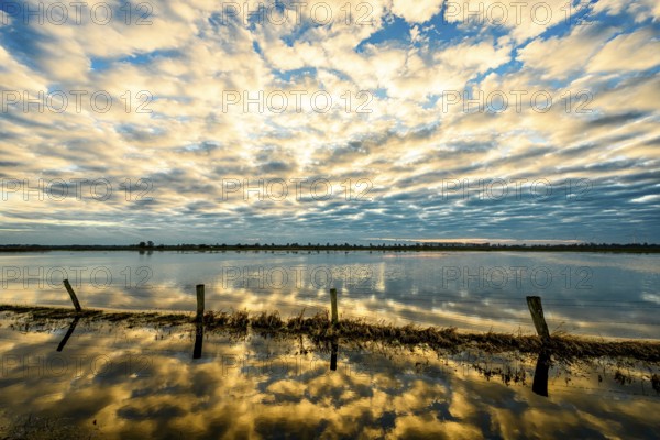 Sky with dramatic clouds is reflected in calm water at sunset, creating a peaceful and impressive atmosphere. Flooded meadows in Ochsenmoor with some reflecting pasture poles in the foreground, Dümmer nature park Park, Lower Saxony, Germany