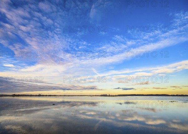 Extensive landscape with blue skies and clouds reflected in the water, soft yellow light on the horizon. Flooded meadows in Ochsenmoor, Dümmer nature park Park, Lower Saxony, Germany