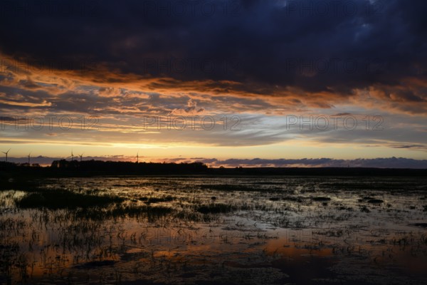 Dramatic sunset over flooded wetlands with wind turbines in the background and saturated shades of blue and orange in the sky, Dümmer nature park Park, Lower Saxony, Germany
