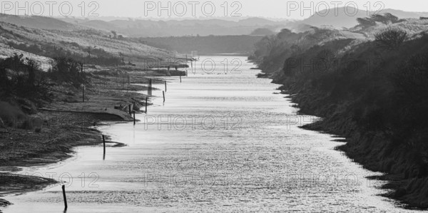 A calm branch of water in a foggy monochrome dune landscape at dusk, Amsterdamse Waterleidingduinen, Zandvoort, Noord-Holland, Netherlands