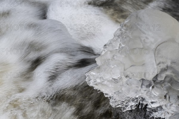 Natural ice sculptures on a stream, Emsland, Lower Saxony, Germany