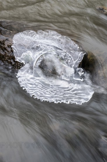Natural ice sculptures on a stream, Emsland, Lower Saxony, Germany