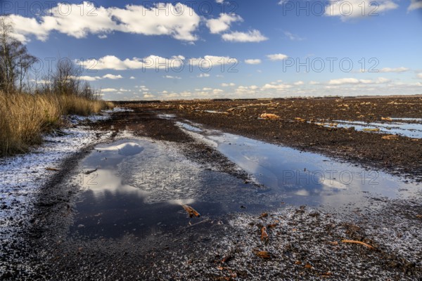 Peated hoochmoor black peat in cloudy skies with earthy colors and natural texture, Diepholzer Moorniederung, Drebber, Lower Saxony, Germany