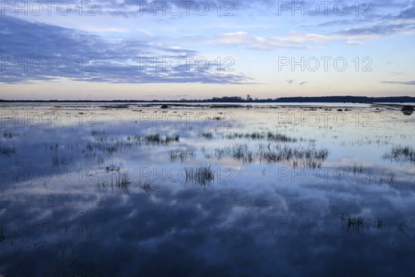 Wide water landscape with cloudy sky at sunset Moist meadows in Ochsenmoor during high tide, Dümmer nature park Park, Lower Saxony, Germany