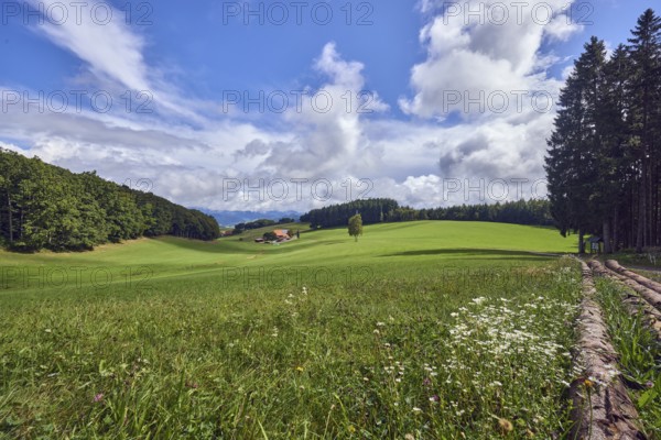 Landscape, landscape photography, hills, coniferous forest, meadow, blue sky, cumulus clouds, cirrus clouds, stratocumulus clouds, broad plain, Hofstetten, Black Forest, Ortenaukreis, Baden-Württemberg, Germany