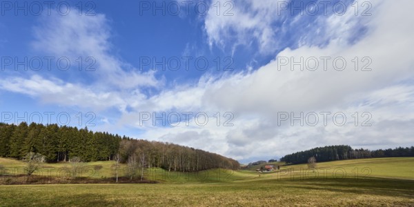 Landscape photography, hilly landscape, hills, coniferous forest, trees, meadow, cloud shadow, blue sky, cumulus clouds, cirrus clouds, stratocumulus clouds, Breitebene, Hofstetten, Black Forest, Ortenaukreis, Baden-Württemberg, Germany