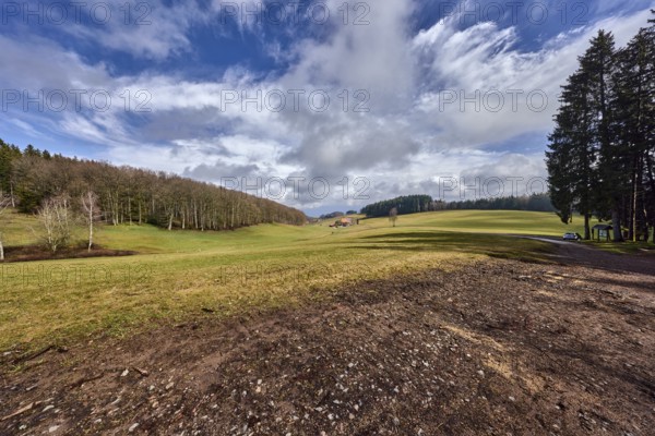 Hilly landscape, hills, coniferous forest, meadow, trees, cloud shadows, blue sky, cumulus clouds, stratocumulus clouds, broad plain, Hofstetten, Black Forest, Ortenaukreis, Baden-Württemberg, Germany