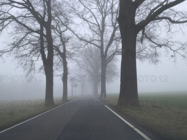 Driver's perspective view of foggy, foggy country road with trees next to the road in thick fog in winter, Germany
