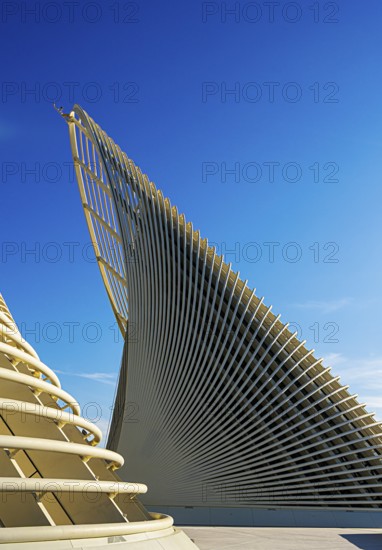 Zayed National Museum in Abu Dhabi, memorial to the late Zayed bin Sultan Al Nahyan, the museum is the heart of the cultural district on Saadiyat Island, architecture on the roof of the museum, Abu Dhabi, United Arab Emirates